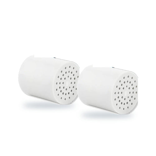 Two Aqua Soft replacement filter cartridges